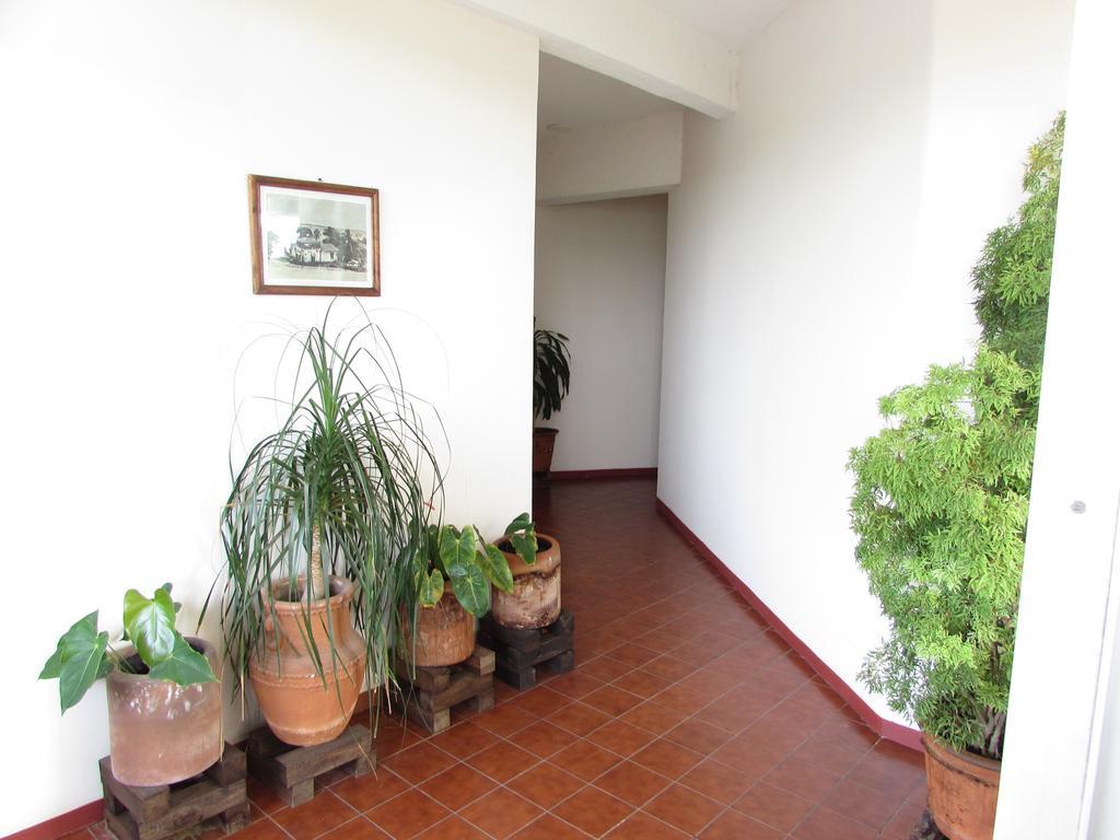 Hotel Puerto Piedra Puerto Escondido  Dış mekan fotoğraf