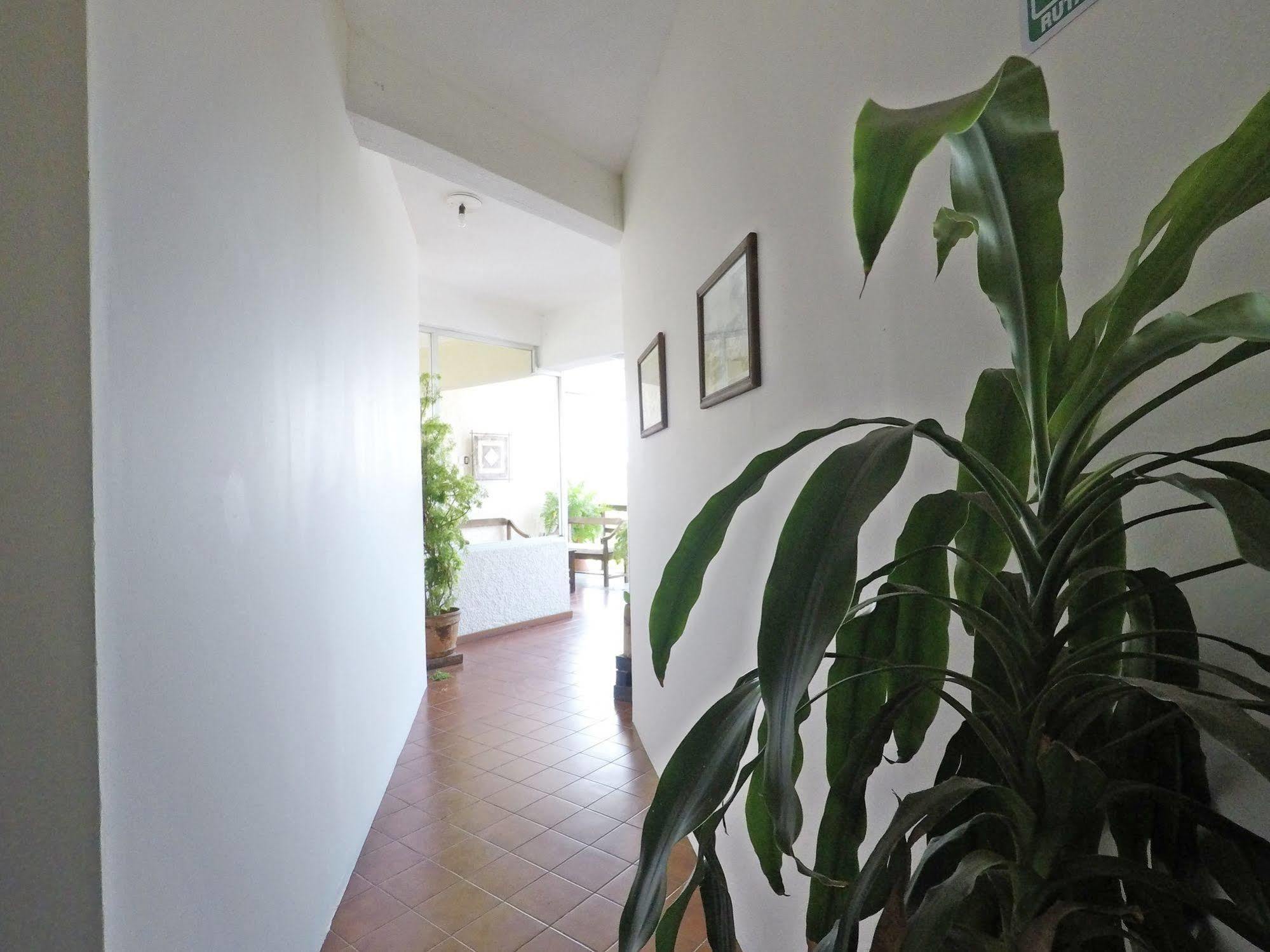 Hotel Puerto Piedra Puerto Escondido  Dış mekan fotoğraf